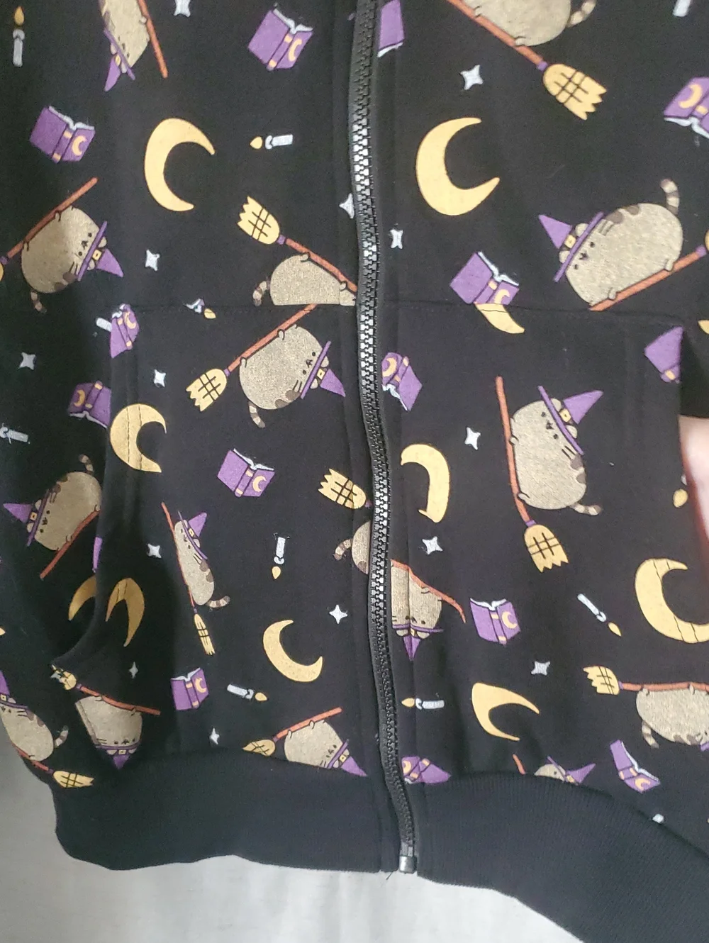 Pusheen Full Zip Hoodie